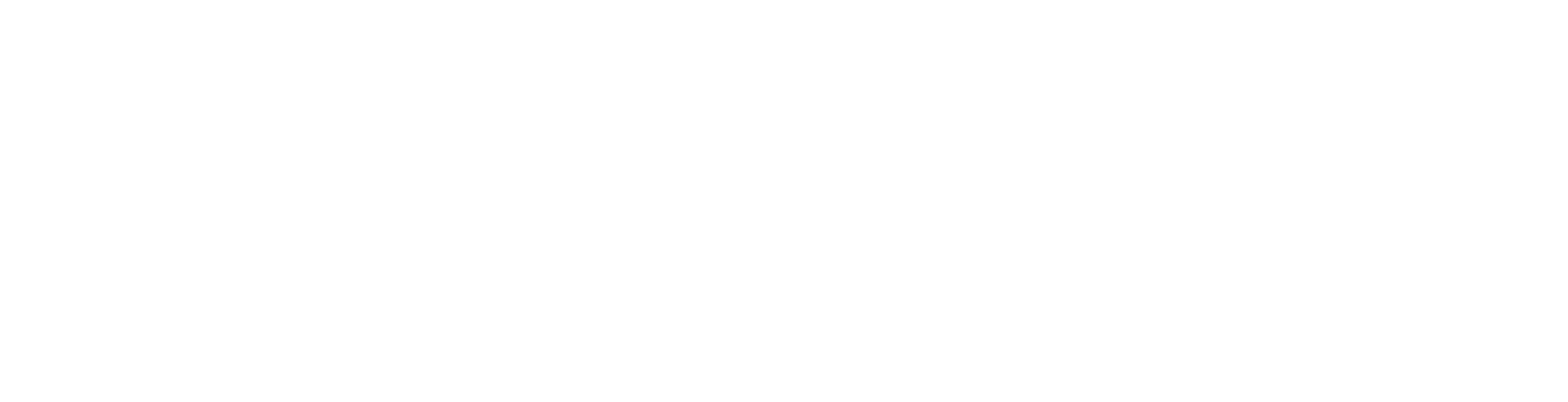 Peter Salomon